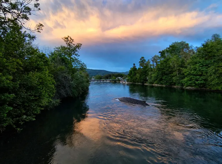 A whale's back breaking the same river under evening cloud